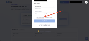 Where to enter a CVZilla promo code during checkout